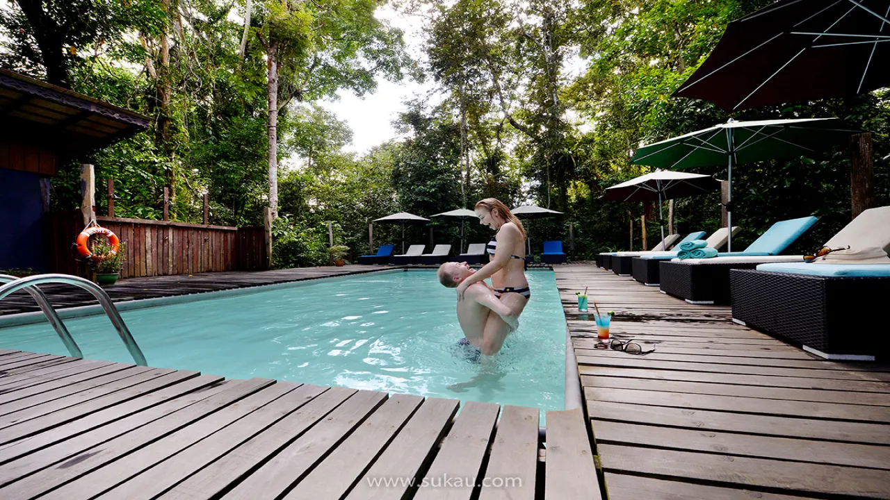 Our two dip pools provide a wonderful way to cool off and soak in the rainforest