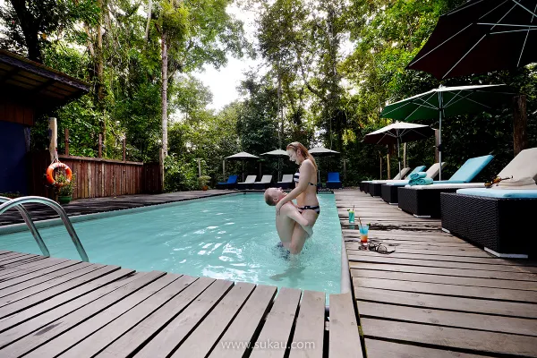Sabah Wildlife Safari - Day 5