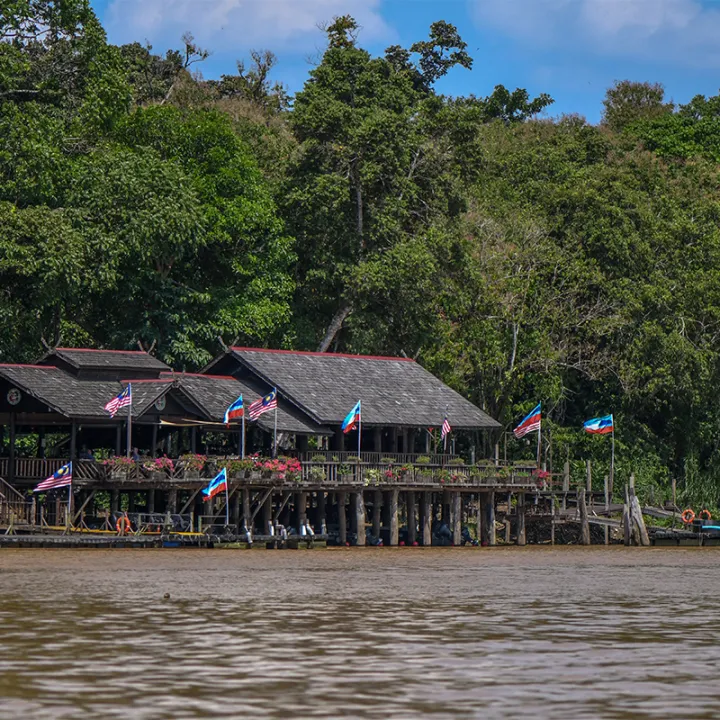 Sukau Safari: A Journey to Saving Paradise