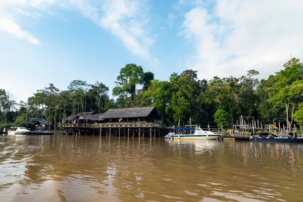 Kinabatangan Wildlife Safari (Villa & by Boat) - Day 3