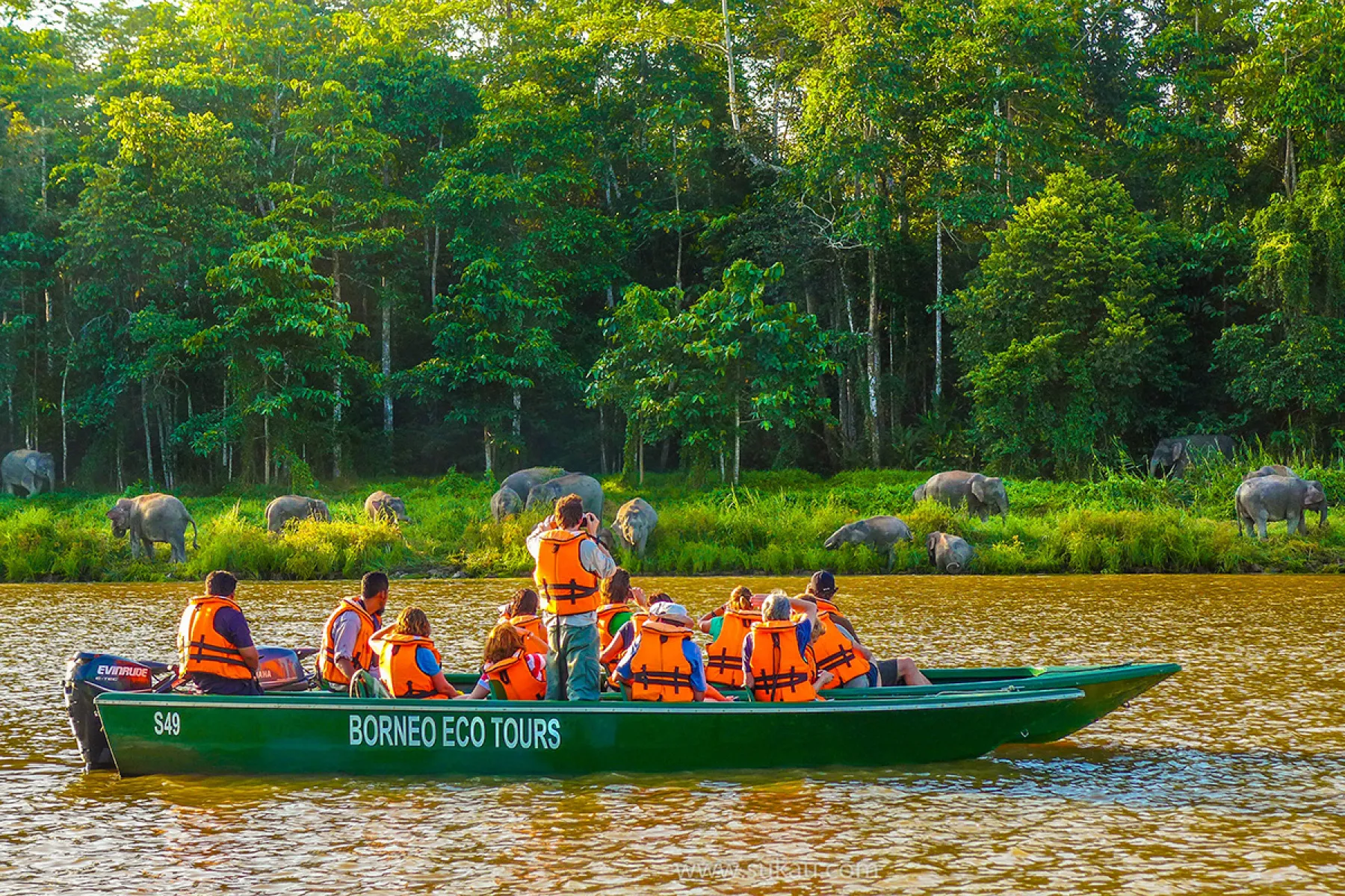 Wildlife view on our river boat.