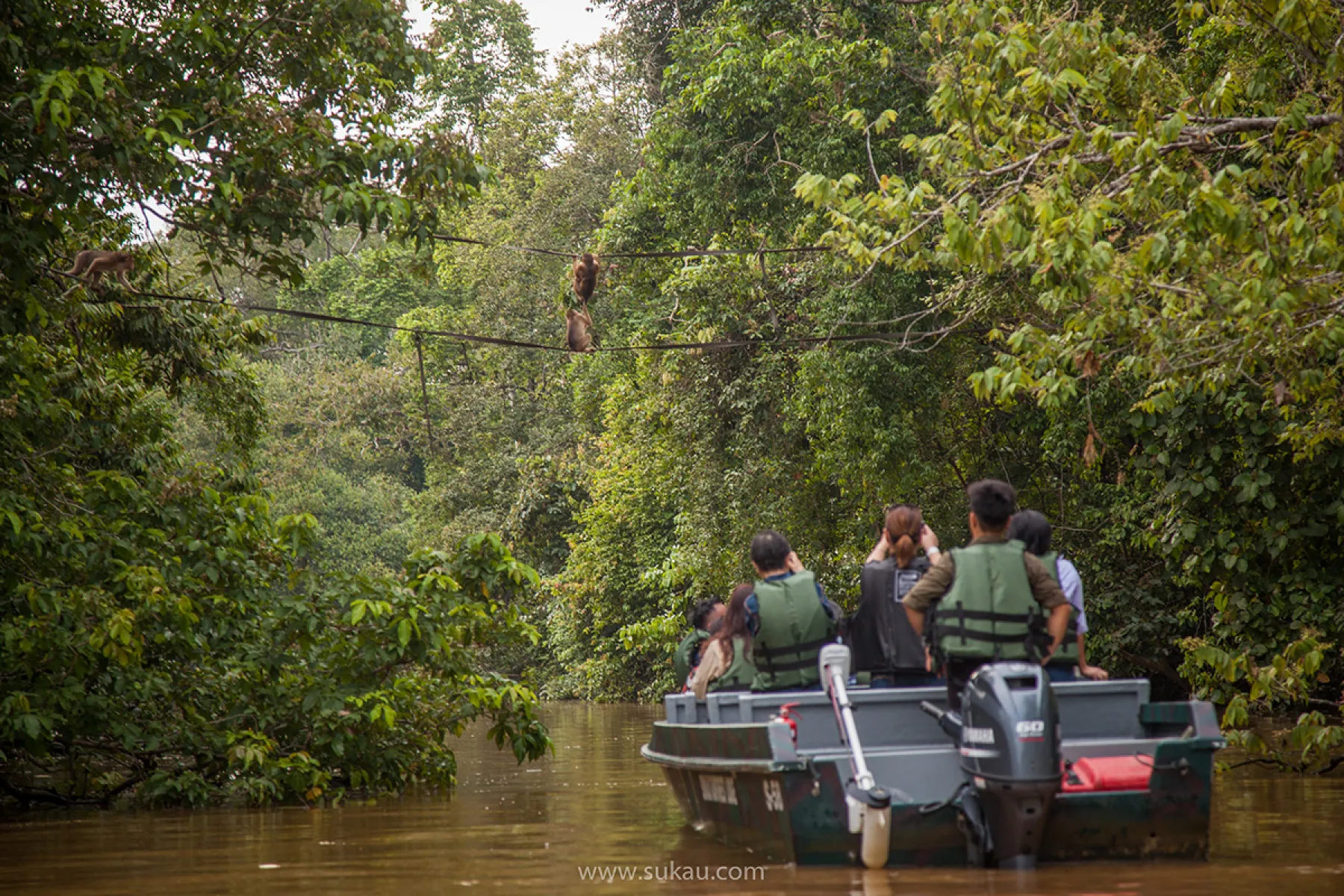 Cruise to the oxbow lake