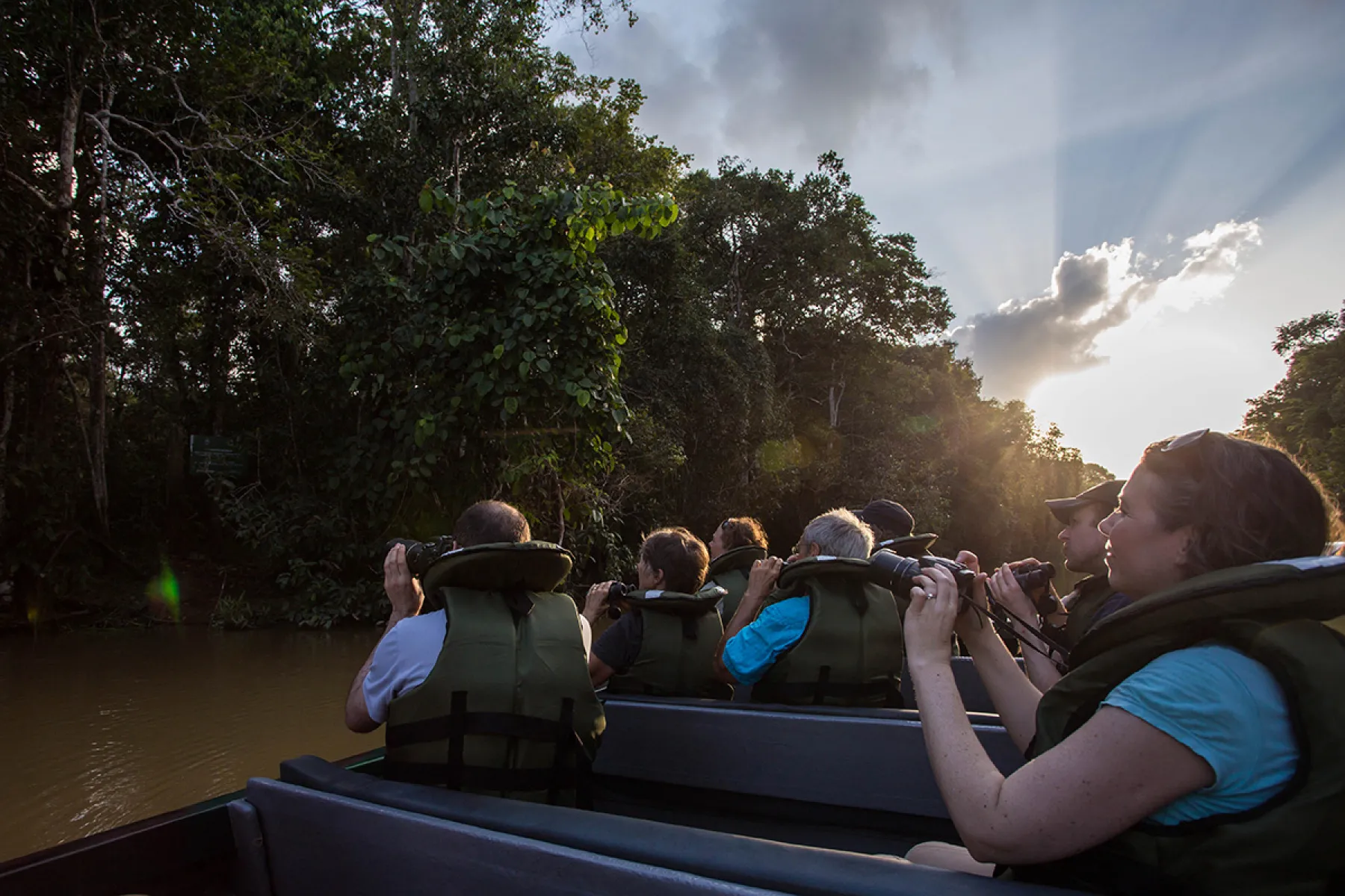 River cruising in Kinabatangan