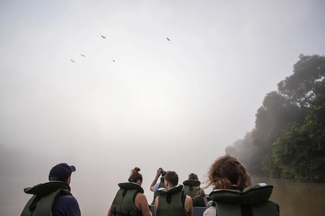 Wildlife river safaris at Sukau is the best way to see the huge variety of wildlife and birds in Borneo