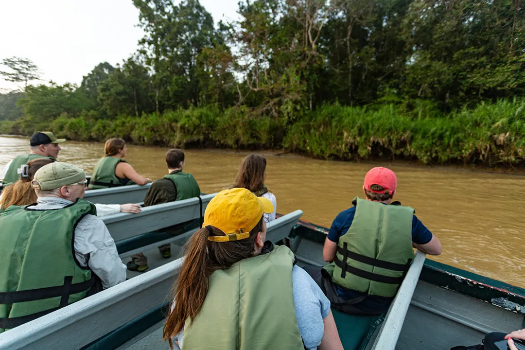 Wildlife river safaris at Sukau is the best way to see the huge variety of wildlife and birds in Borneo