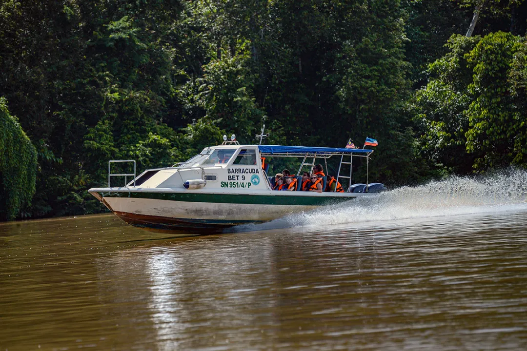 Our speedboat transfers to/from Sukau Rainforest Lodge take about 2.5hours