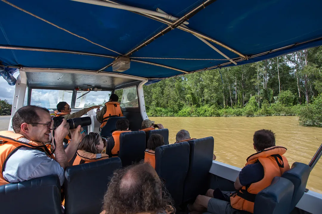 Our speedboat transfers to/from Sukau Rainforest Lodge allows for wildlife sighting on the way in