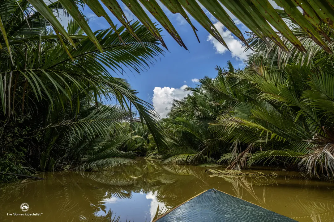 River cruises in the morning and evening