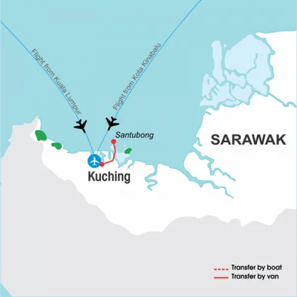 Morning Dolphin Cruise - Day 1 Morning Dolphin Cruise - Day 1