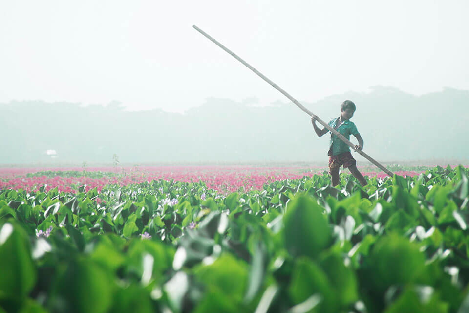 Borneo Eco Tours - Giving Back